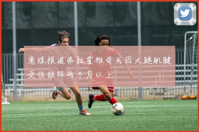 意媒报道弗拉霍维奇或因大腿肌腱受伤缺阵两个月以上
