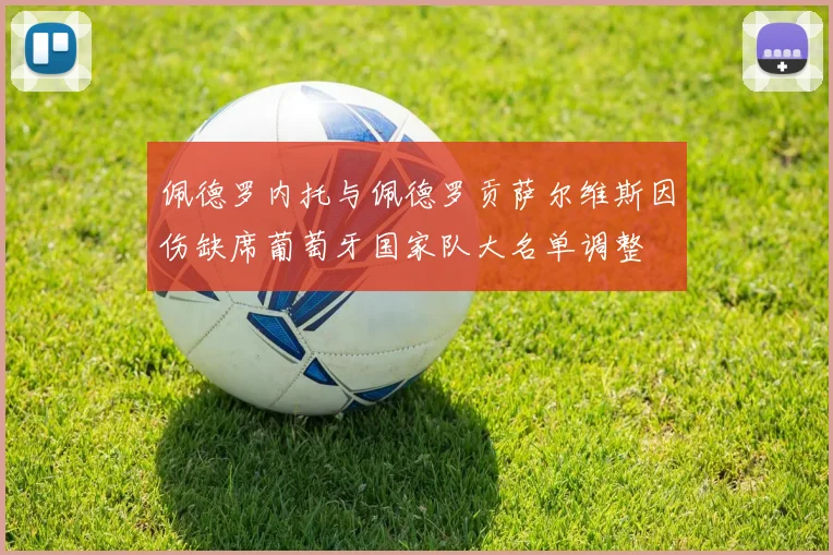 佩德罗内托与佩德罗贡萨尔维斯因伤缺席葡萄牙国家队大名单调整