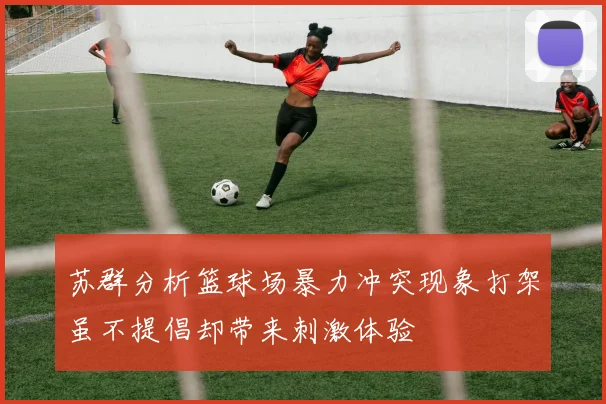 苏群分析篮球场暴力冲突现象打架虽不提倡却带来刺激体验